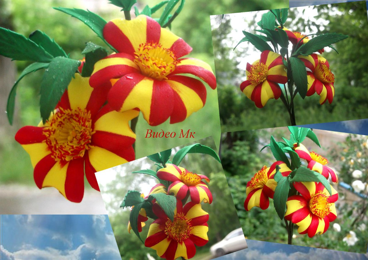 Бархатцы из фоамирана - Мирсанова (2016)_0.jpg